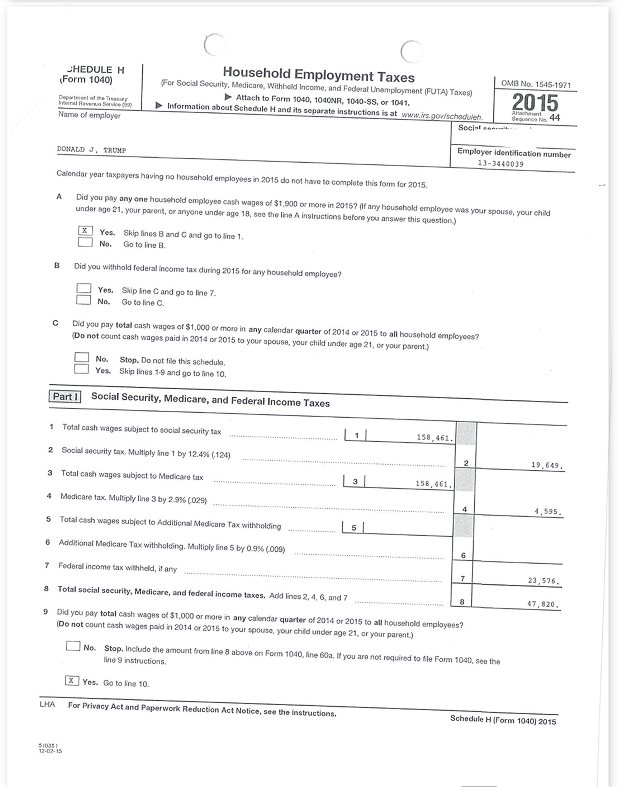 Schedule H Household Employment Taxes sample page from a compound tax document.